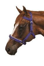 CAVEZZA NYLON/NEOPRENE - Garden & Horse