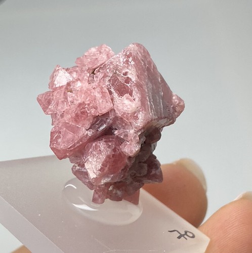 SPINELL Kristall (12 gr ) Spinel Crystal, Mahenge - Bild 4 von 4