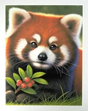 Red Panda With Berries Fine Art Paper Matte Print 8.5" x 11" USA Made