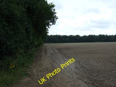 Photo 6x4 Field beside woodland Rushford/TL9281 Off Kilverstone Road. c2015