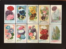 Full Set of 10 Large Colorful Floral D.M. Ferry & Co. Tradecards, 1889, Detroit.