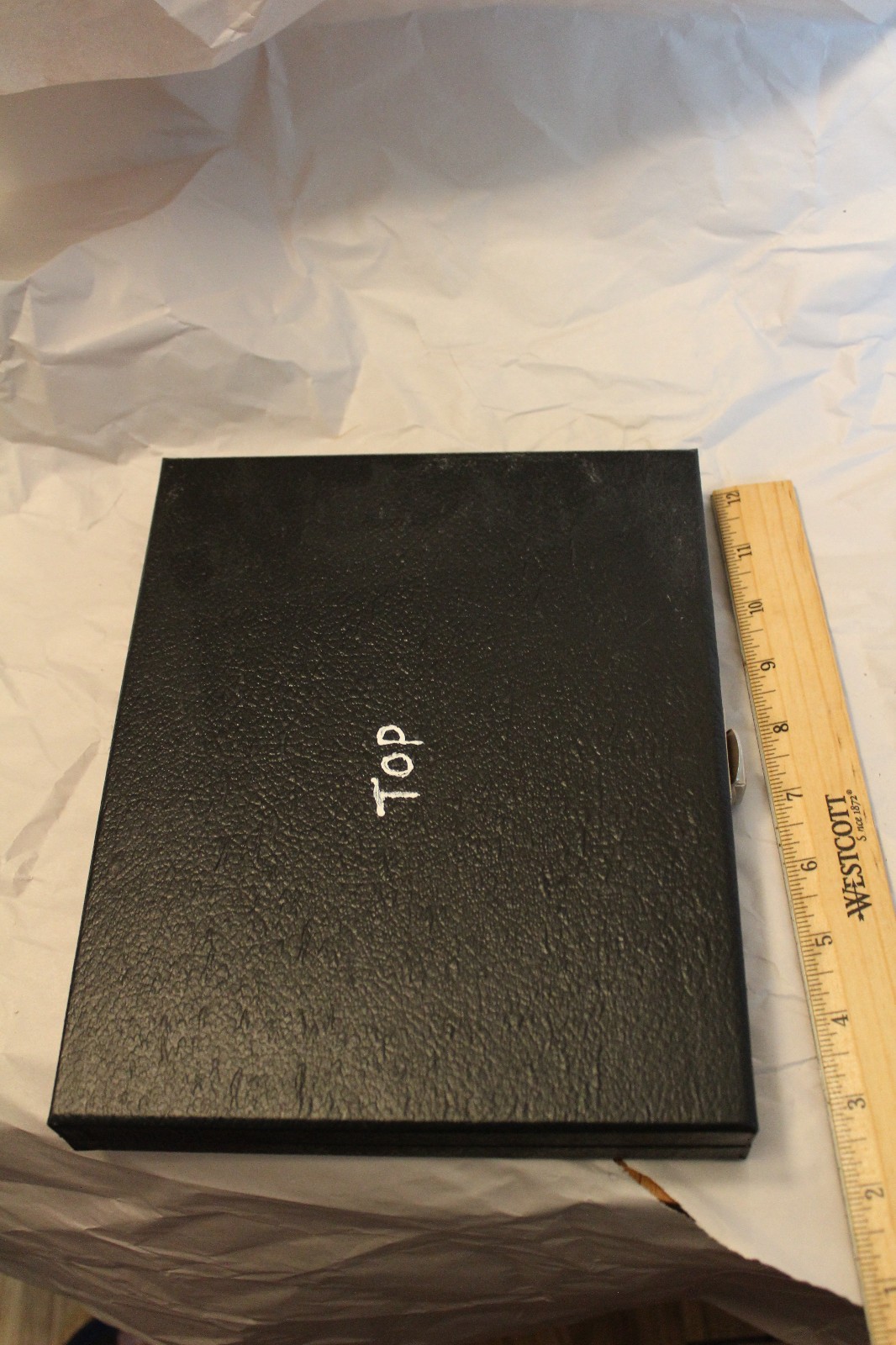 42 Carolina Biological slides Moss Oscillatoria Gloeocapsa Lichen BlueGreen Alga