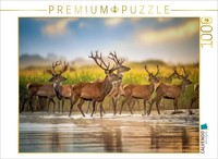Calvendo Puzzle A Moment Of Silence. | 1000 Pieces, Finished Size 25.2 × 18.9 In