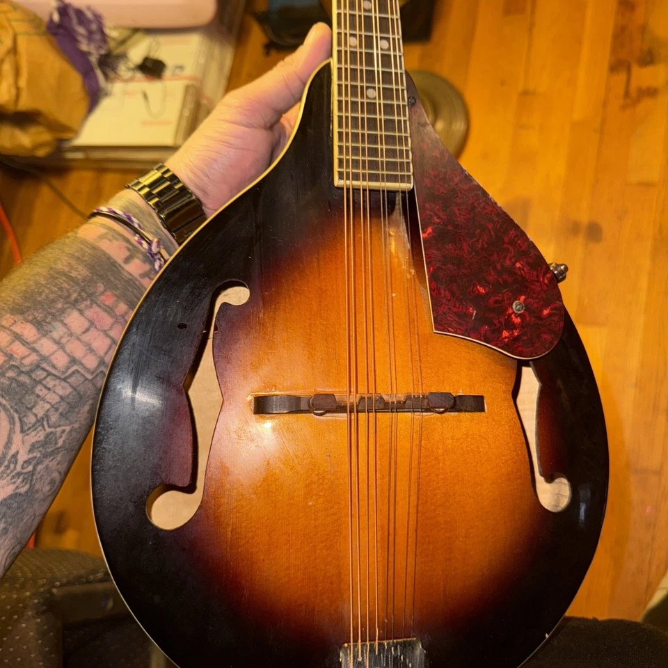 Instrumento de cuerda Gregbennett mandolina Ma-3/an Foto 2 de 2