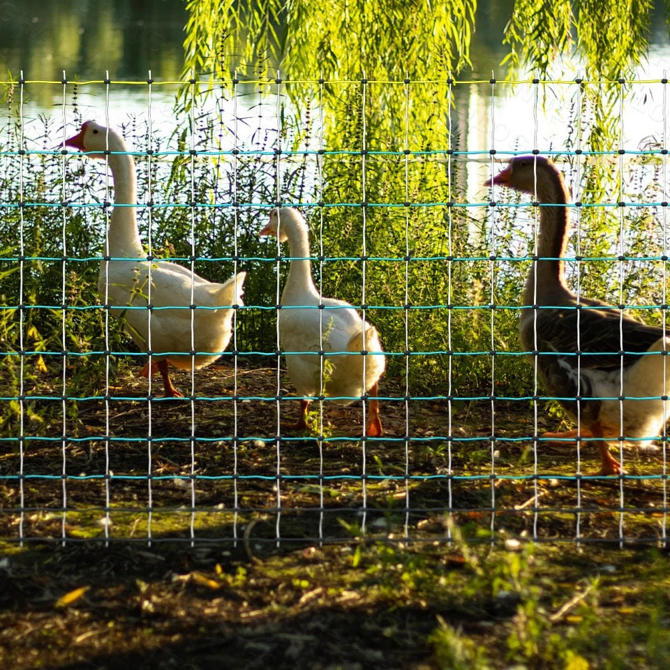Portable Electric Poultry Netting Fence  47.5"H x 168' L Livestock Nets Mesh - Image 2 of 4