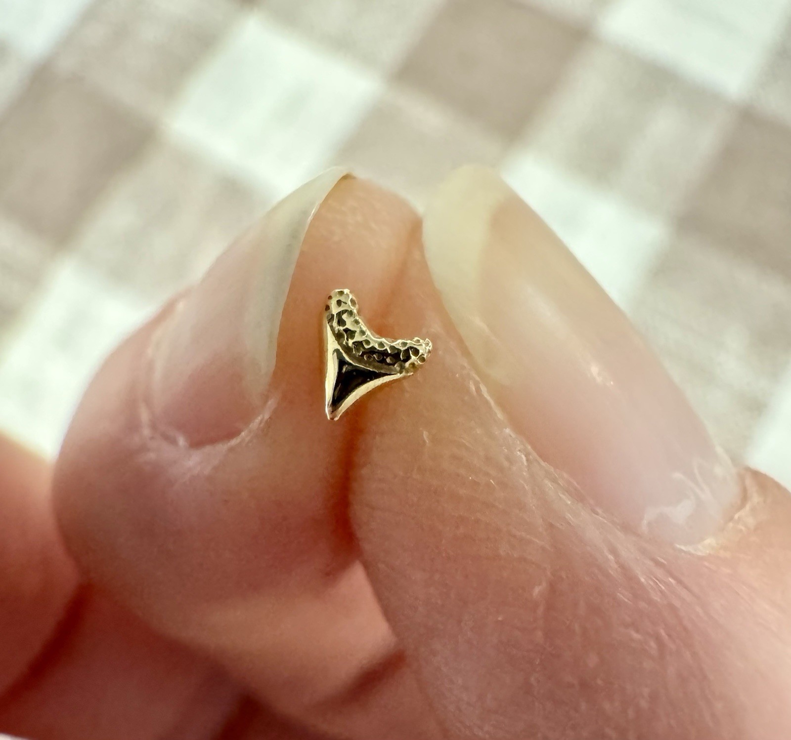 Invictus 14k Solid Gold Threadless Pin Shark Tooth - image 3