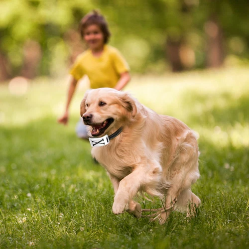 Elektrozaun für Hunde 2 in 1 Kabellos Hundezaun Halsband Haustier Eindämmungssystem - Bild 67 von 77