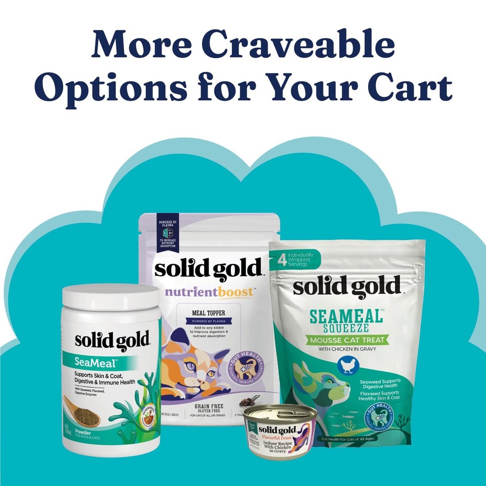 Indoor Dry Cat Food Let's Stay in Cat Food Dry Kibble for Indoor Cats