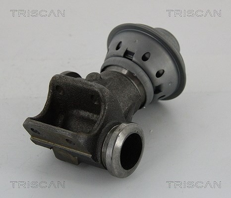 Triscan Agr-Ventil U.A. FüR CitroËN, Fiat, Peugeot-image