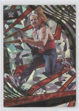 2022 Panini Revolution WWE Fractal Rick Boogs #4 0c2