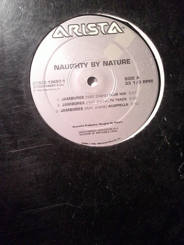 4 Rap / Hip hop vinyl records: NAS, C. J. Bolland, Quindon, Naughty By Nature - Picture 11 of 16