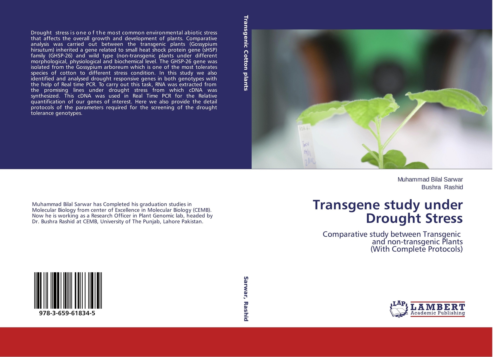 Thumbnail - Transgene Study Under Drought Stress Muhammad Bilal Sarwar (u. A.)