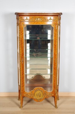 Transition Style Display Case