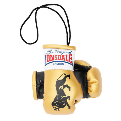 Lonsdale Mini Gloves Paar, Promo, Rückspiegel, Mini Boxhandschuhe, Boxen, gold