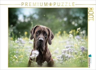 CALVENDO Puzzle Tosa Inu | 1000 Teile Lege-Größe 64x48cm Foto-Puzzle für glückli