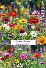 Landscaper's Pack COTTAGE GARDEN DELUXE Heirloom Blooms Non-GMO 5000+ Seeds