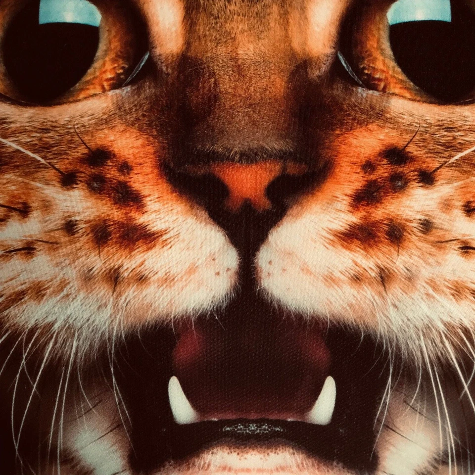 Large Cat Face Mask 43 cm x 38 cm - Image 2 of 4