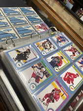 CLASSIC! 2008-09 O-Pee-Chee (1979-80 Homage) Retro - Pick what you need! 1-250