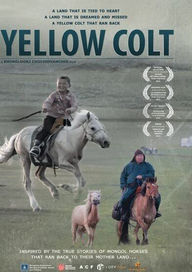Mongolian Invasion - Yellow Colt (DVD) B. Narankhuu D. Byambatsogt P. Munkh-Od