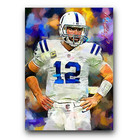 Andrew Luck #19 Art Card Limited 32/50 Edward Vela Signed (Indianapolis Colts)
