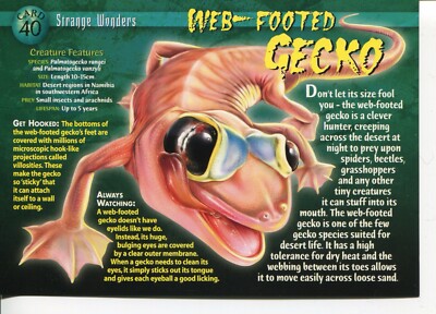 Weird N' Wild Creatures Strange Wonders Card 40 # Web-Footed Gecko