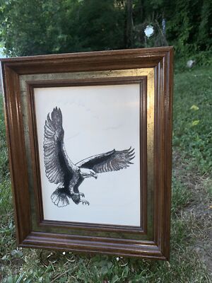 Vintage American Bald Eagle Framed Engraving Etching Framed Etching~13 x16 