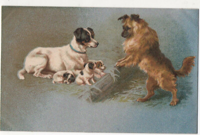 Farbige Postkarte von zwei Hunden & Welpen silberner Hintergrund Wildt & Kray
