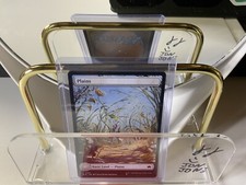 x1 Plains BLB Bloomburrow MTG 262 FULL ART BASIC LAND M/NM 1x