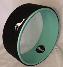 Plexus 12 Inch Yoga Wheel for Back Pain, Stre...
