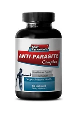Wormwood - Anti Parasite Complex 1500mg -Helps Intestinal Health Supplements 1B 