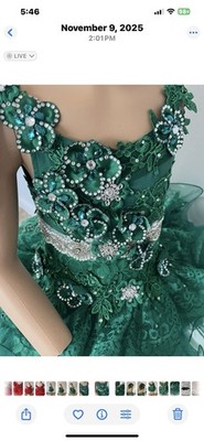 Girls Emerald Green Cupcake Glitz Pageant Princess Birthday Party Dress. |  eBay