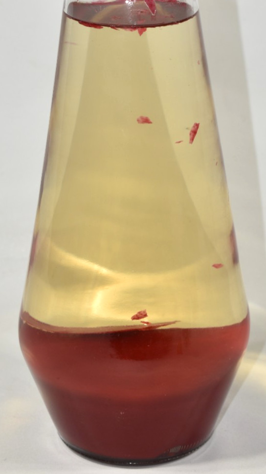 Kiss Lava Lamp NO BASE AS-IS Replacement Top Resin Lava Lamp Topper Glass Bottle