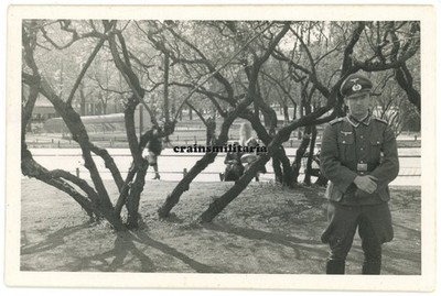 Orig. Foto Soldat in Park OSLO Karl Johans Gate Norwegen 1940