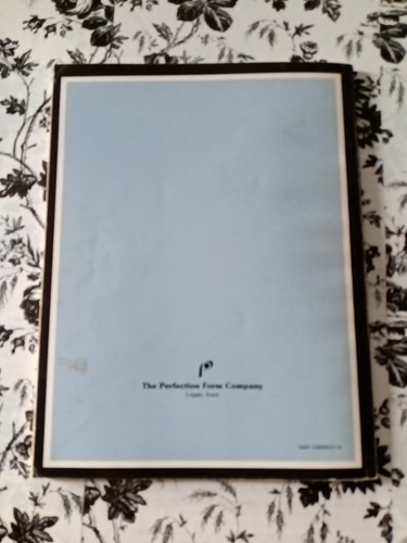 Julie the Wolves Literature Study Guide & Book Lot Homeschool Teacher Resource - Picture 10 of 14