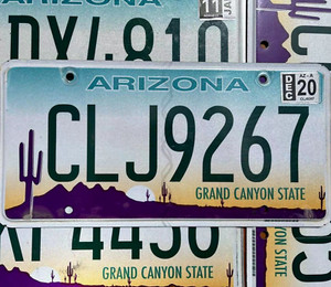 ARIZONA LICENSE PLATES - GRAND CANYON GRAPHIC LICENSE PLATE Tags Random #