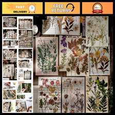 80PCS Large Dried Flowers Waterproof Stickers - Botanic Series for Crafting De