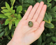 1 Vesuvianite Tumbled Stone (Premium Quality 'A' Grade, Idocrase)