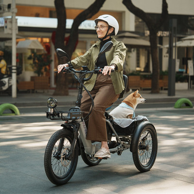  Fafrees F20 Mate II Elektro-Dreirad 3-Rad E-Bike 20 Zoll 250W 48V 21Ah E-Trike