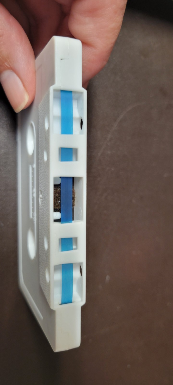 Picture 6 of 6