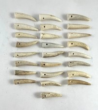 25 - 1 " DRILLED DEER ELK ANTLER TINE TIPS ARTS CRAFTS JEWELRY TOGGLES Bag 1881