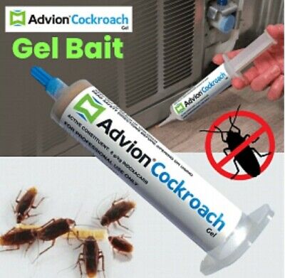 cockroach roach advion syngenta