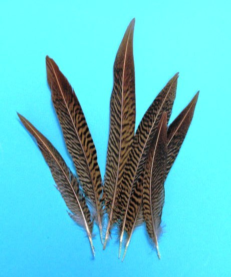 Buy 20 Pcs Feather Mix.16 Different Varieties Feathers For Choose.wholesale Bulk Feathers.golden Pheasant,ringneck Pheasant.craft Feathers Online In India - Foto 8