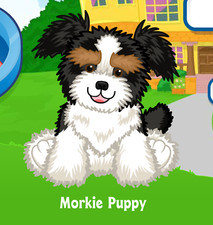 Webkinz Morkie Puppy Virtual PET Adoption Code Only Messaged Webkinz Morkie Dog
