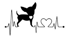 2x chihuahua , dog , funny , stickers vinyl decal autocollant