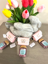 Bath And Body Works Scallop Pink Bow Snap Case PocketBac Holder  Gel New