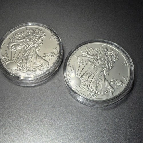 2024 (2) Silver Eagle $1 Coin 1oz .999 Fine BU Walking Liberty