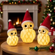 Christmas Lighted Owl Figurines, 3 Pack Ceramic White Light Up LED Owl Family...