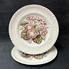 Johnson Brothers OLD FLOWER PRINTS Bread Plate 6 3/8 Inches
