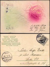 Botanik Blumen: Geprägte Blume (vermtl. Rose) 1903 Prägekarte   Stempel BERLIN
