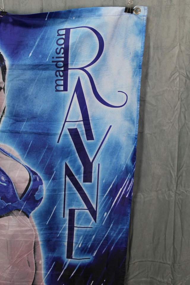 Bandera de lucha libre de impacto TNA - División Madison Rayne Knockouts - Bandera de una cara Foto 2 de 4